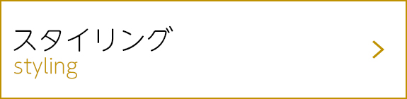 スタイリング