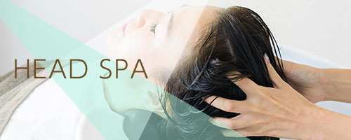 HEAD SPA